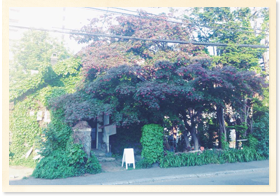 たべるとくらしの研究所